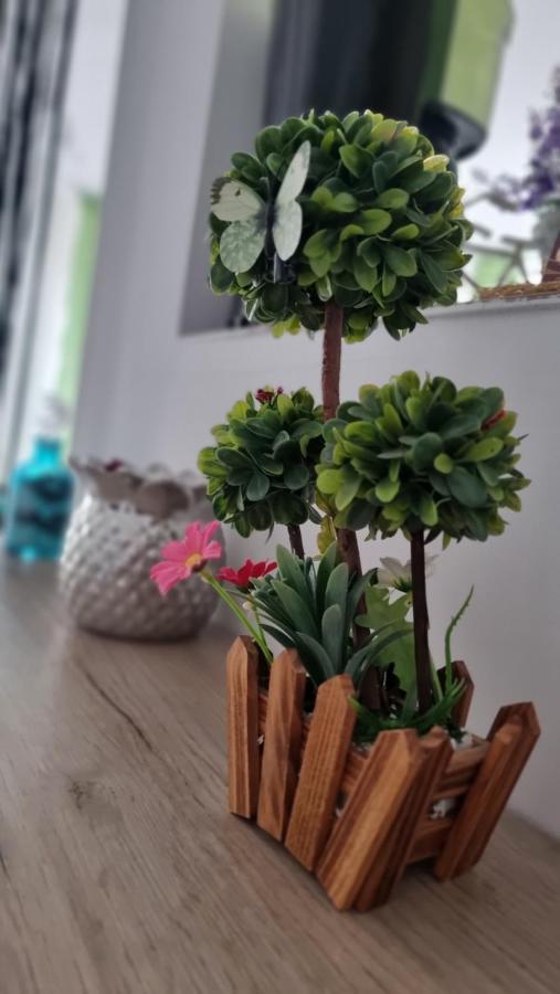 Apartament Daria Năvodari Exteriér fotografie